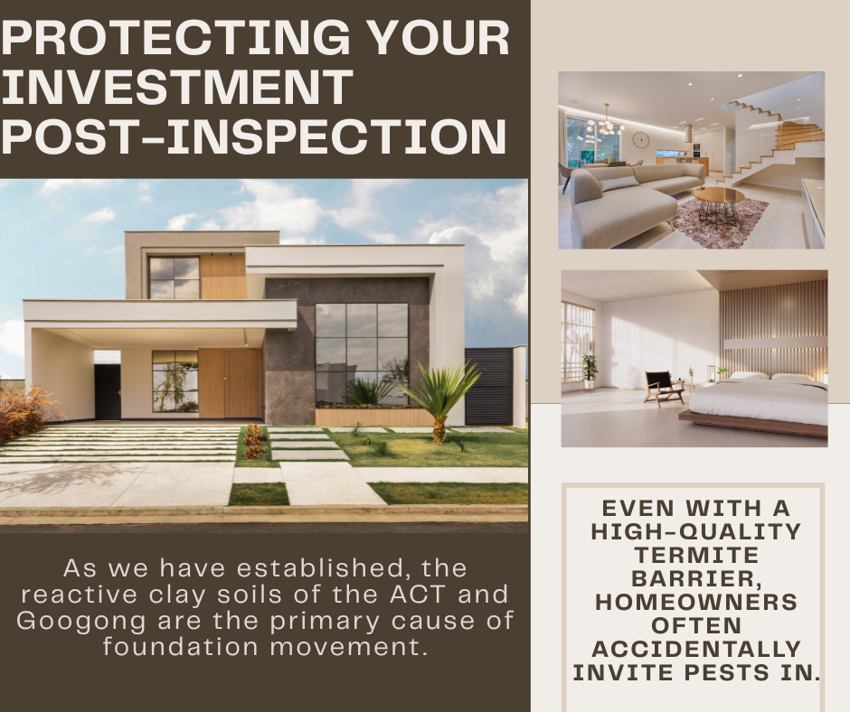Professional property guide for ACT and Googong homeowners regarding foundation movement in reactive clay soils and pest prevention post-inspection.